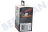 Brennenstuhl LED Night lamp en baterías con detector de movimiento