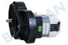 Black & Decker 90640801 Transmisión