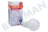 Osram 4058075292109 Parathom clásico A100 Matt E27 14W