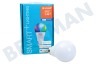 Osram Smart + Lámpara estándar E27 Regulable Multicolor
