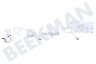 Osram Tira de LED multicolor Smart + Flex 3P