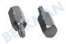 Witte 4295032 Brocas 1/4 pulgadas 25 mm Torx T10, 5 piezas