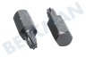Witte 4295042 Brocas 1/4 pulgadas 25 mm Torx T15, 5 piezas