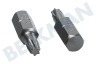 Witte 4295052 Brocas 1/4 pulgadas 25 mm Torx T20, 5 piezas