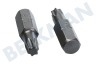 Witte 4295062 Brocas 1/4 pulgadas 25 mm Torx T25, 5 piezas