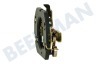 Dewalt Escobilla de carbón Juego de escobillas de carbón con placa