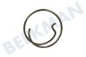 Dewalt N078434 Pluma