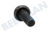 Dewalt Tornillo M3