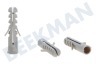 Deltafix Taco Tapones de nailon