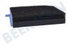 Electrolux Aspiradora 140110909011 Filtrar