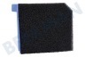Electrolux Aspiradora 140110909011 Filtrar