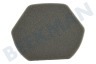 Bosch Aspiradora 12012937 filtro de espuma