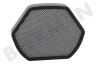 Bosch Aspiradora 12012937 filtro de espuma