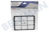 Protos Aspiradora 00578863 Filtro VS08 en soporte