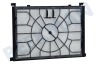 Profilo Aspiradora BBZ02MPF Filtro Filtro de motor en soporte