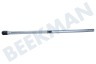 Siemens Aspiradora Tubo de succión Telescopio, gris