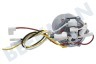 Black & Decker N888928 Caldera