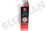 Hoover Aspiradora G241AFS Escurridor Combi