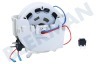 Tefal Aspiradora SS-7235004500 Carrete Enrollador de cable con interruptor