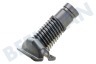 Dyson Aspiradora 912698-02 Dyson boquilla ancha