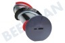 Dyson 970135-01 Cepillo dinamométrico Dyson