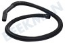 Karcher Aspiradora Manguera de aspiradora