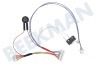 LG Aspiradora EAD60810508 Conjunto de cables De accionamiento robot aspirador