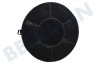 Zanussi Campana extractora MCFE06 Filtro De Carbón Para Campana Extractora Elica Modelo 48