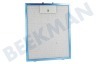 Mora Campana extractora Filtro de grasa 239x298mm