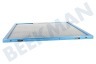Mora Campana extractora Filtro de grasa 239x298mm