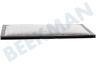AEG Placa Filtrar
