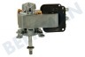 Iee Horno-Microondas Motor Del ventilador, aire caliente.