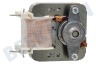 Progress Horno-Microondas motor