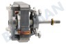 Progress Horno-Microondas motor