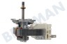 Progress Horno-Microondas motor