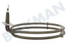 Aeg electrolux Horno-Microondas Resistencia 1650 vatios, aire caliente