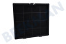 Hotpoint-ariston Campana extractora Filtro Cuadrado 24x22,8x3cm