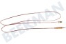 Ariston-Blue Air Cocina 28639, C00028639 Cable termo 1200 mm