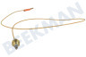 Indesit Cocina 52986, C00052986 Cable termo de vitrocerámica