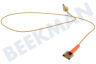 Indesit Cocina 52986, C00052986 Cable termo de vitrocerámica