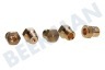 Ariston-Blue Air Cocina 114463, C00114463 Aspersor Juego de boquillas de butano