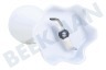 Braun Brazo batidor Batidora de mano El plastico
