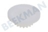 Braun Rueda dentada Blanco