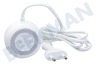 Braun 81739980 Cargador, blanco