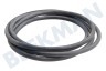 Bosch Horno-Microondas 426068, 00426068 Sello de vidrio interior