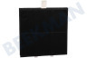 Pitsos Campana extractora 00360732 Filtro Carbono con labio