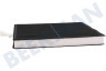 Pitsos Campana extractora 00360732 Filtro Carbono con labio