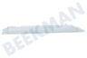 Constructa Campana extractora 00096880 Platina De la lámpara campana extractora