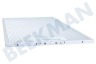 Viva Campana extractora 11022474 Filtro Metalico 482x192x8mm