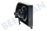 Siemens Cafetera automática 653257, 00653257 Soporte Desde la válvula del tanque de agua